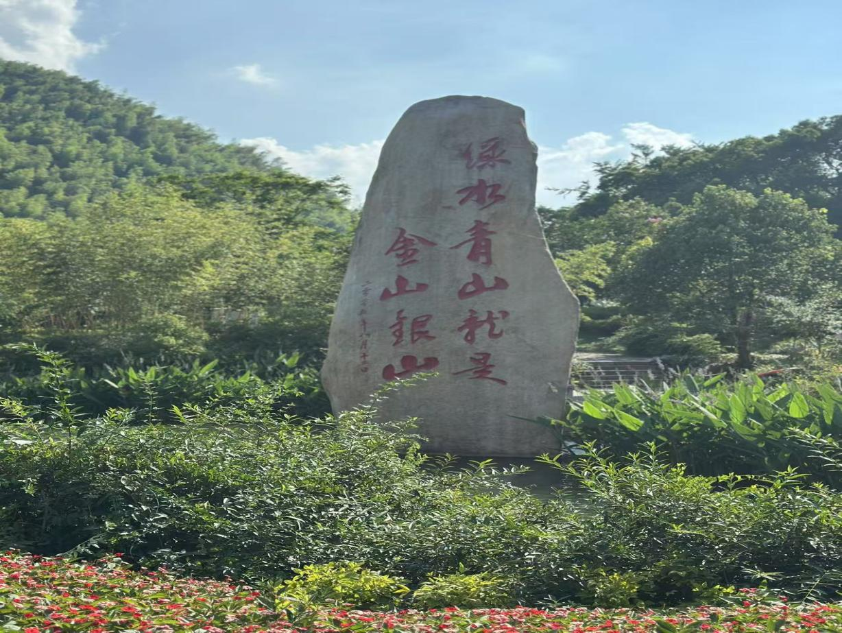 DƬ8.png